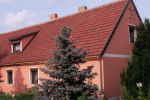 Wärmedämmfassade  Haus / Eigenheim / Einfamilienhaus in Särichen